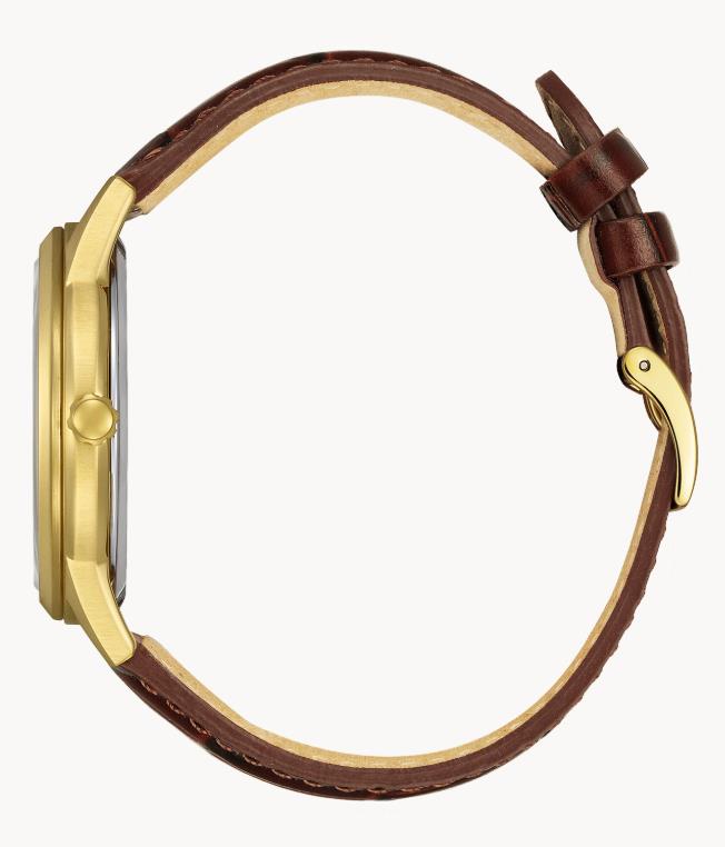 Citizen Eco-Drive Uhr Gold Braun