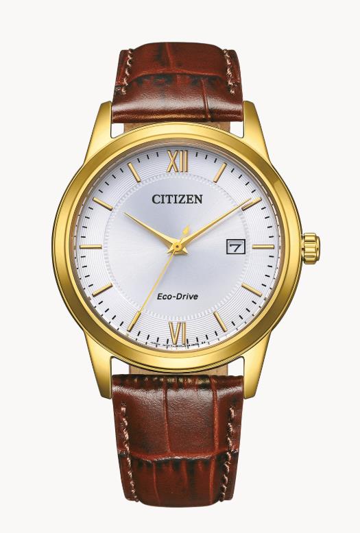 Citizen Eco-Drive Uhr Gold Braun