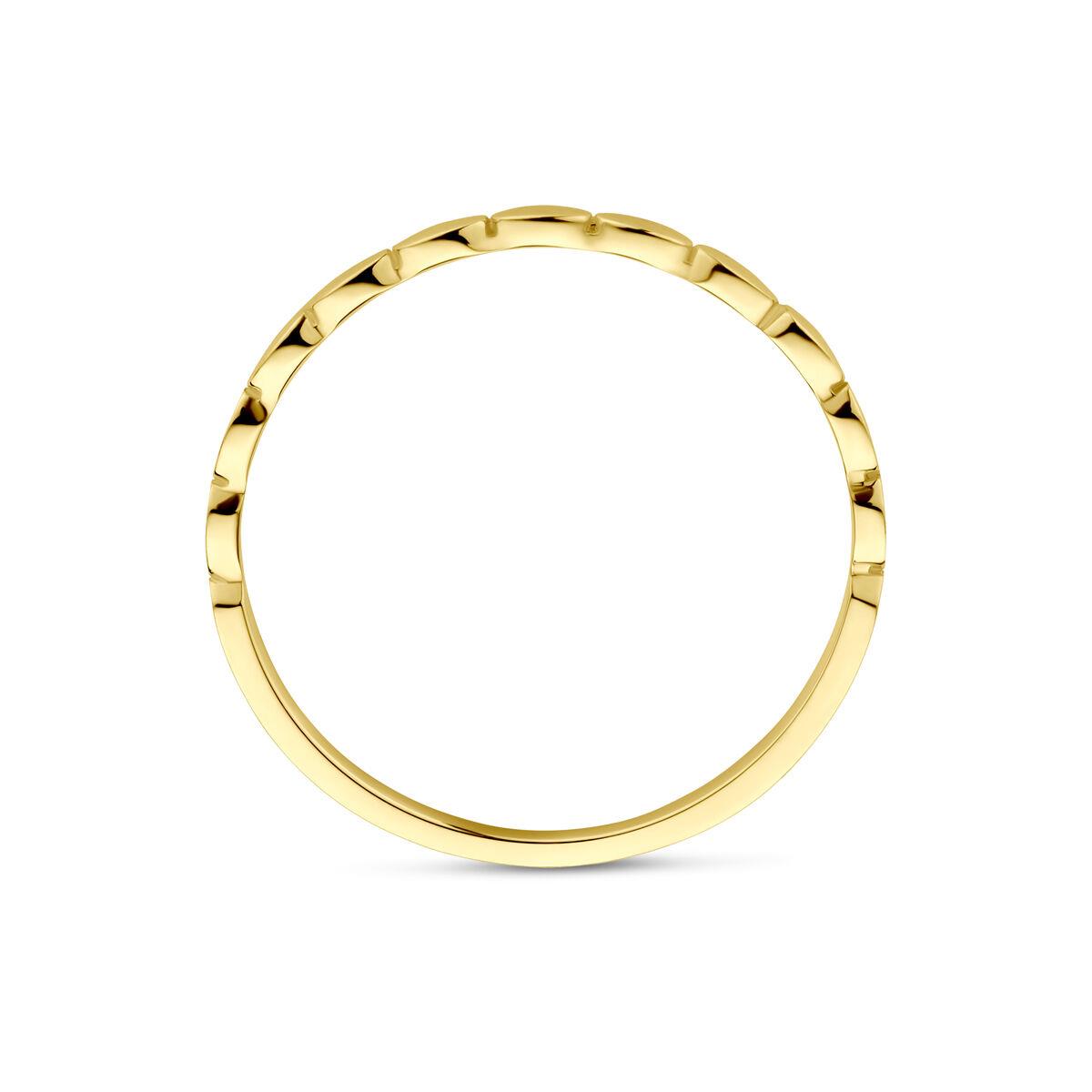 schmaler Ring Gelbgold