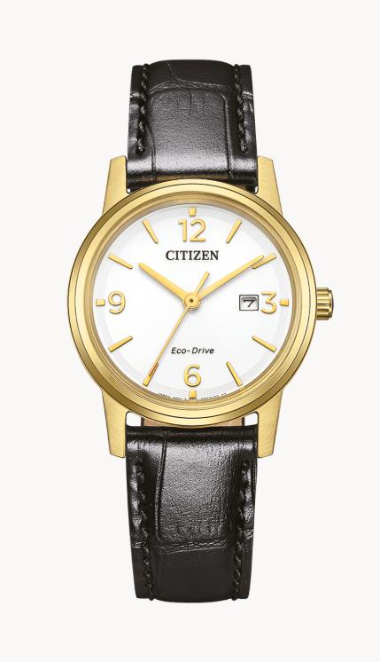 Citizen Lederband Gold Eco-Drive