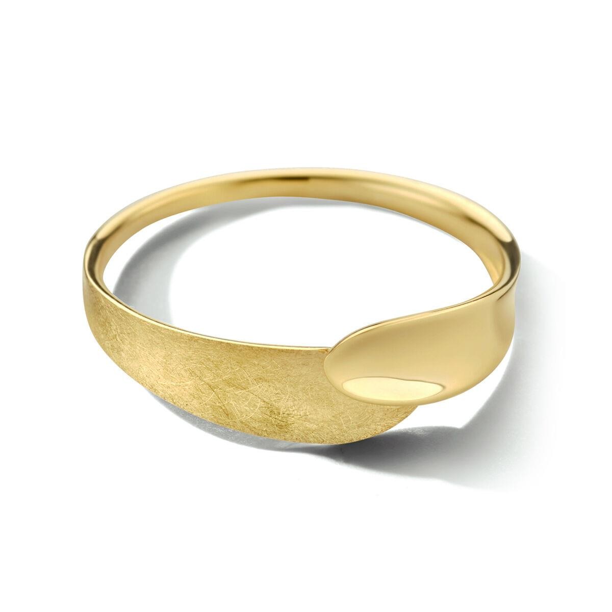 Ring Eismatt