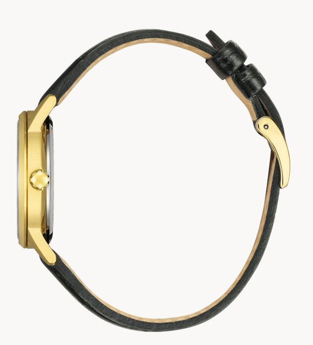 Citizen Lederband Gold Eco-Drive